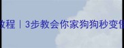 拉布拉多装死训练教程3步教会你家狗狗秒变僵尸聪明狗狗必备技能