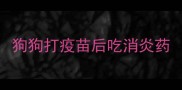 狗狗打疫苗后吃消炎药