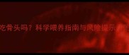 拉布拉多能吃骨头吗科学喂养指南与风险提示附选骨指南