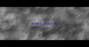 英特威冻干疫苗多少钱