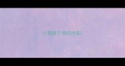 小狗鼻子溃烂结痂