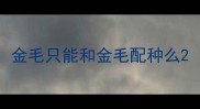 金毛只能和金毛配种么