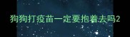 狗狗打疫苗一定要抱着去吗