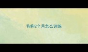 狗狗2个月怎么训练