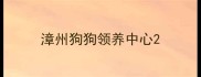 漳州狗狗领养中心