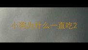 小狗为什么一直吃