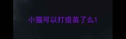 小猫可以打疫苗了么