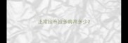 正常拉布拉多肩高多少