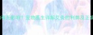 艾灸对狗狗有无影响宠物医生详解艾灸的利弊及正确操作指南