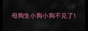 母狗生小狗小狗不见了