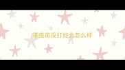 猫疫苗没打好会怎么样