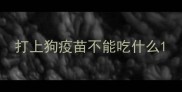 打上狗疫苗不能吃什么