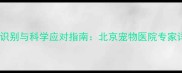小狗恶性乳腺肿瘤的早期识别与科学应对指南北京宠物医院专家详解治疗方案与护理要点