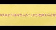 狗狗接种疫苗后不精神怎么办5大护理要点与注意事项全