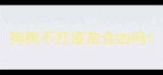 狗狗不打疫苗会凶吗