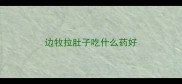 边牧拉肚子吃什么药好