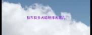 拉布拉多犬聪明排名第几