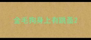 金毛狗身上有跳蚤