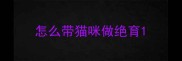 怎么带猫咪做绝育