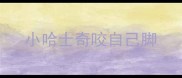 小哈士奇咬自己脚