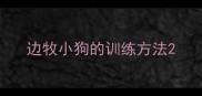 边牧小狗的训练方法