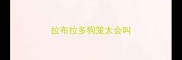 拉布拉多狗笼太会叫