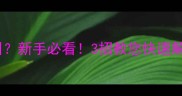 狗狗几个月开始叫新手必看3招教您快速解决狗狗叫闹问题