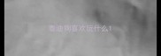 泰迪狗喜欢玩什么