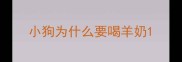 小狗为什么要喝羊奶