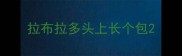 拉布拉多头上长个包