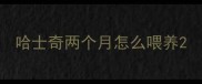哈士奇两个月怎么喂养