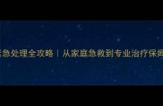 狗狗骨折紧急处理全攻略从家庭急救到专业治疗保姆级指南