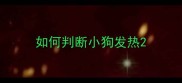 如何判断小狗发热