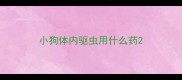 小狗体内驱虫用什么药