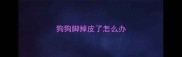 狗狗脚掉皮了怎么办