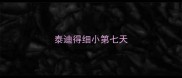 泰迪得细小第七天