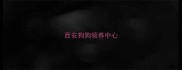 西安狗狗领养中心