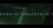 菏泽拉布拉多价格多少钱纯种幼犬多少钱一只附选购指南