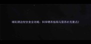 哺乳期边牧饮食全攻略科学喂养指南与营养补充要点