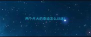 两个月大的泰迪怎么训练