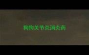 狗狗关节炎消炎药