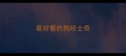 最好看的狗哈士奇