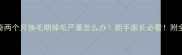 哈士奇两个月换毛期掉毛严重怎么办新手家长必看附全攻略