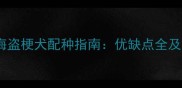 边境牧羊犬海盗梗犬配种指南优缺点全及科学繁殖建议