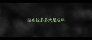 拉布拉多多大是成年