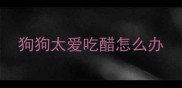 狗狗太爱吃醋怎么办