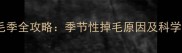 金毛犬换毛季全攻略季节性掉毛原因及科学护理指南