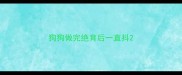 狗狗做完绝育后一直抖