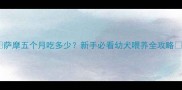 萨摩五个月吃多少新手必看幼犬喂养全攻略