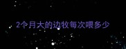 2个月大的边牧每次喂多少